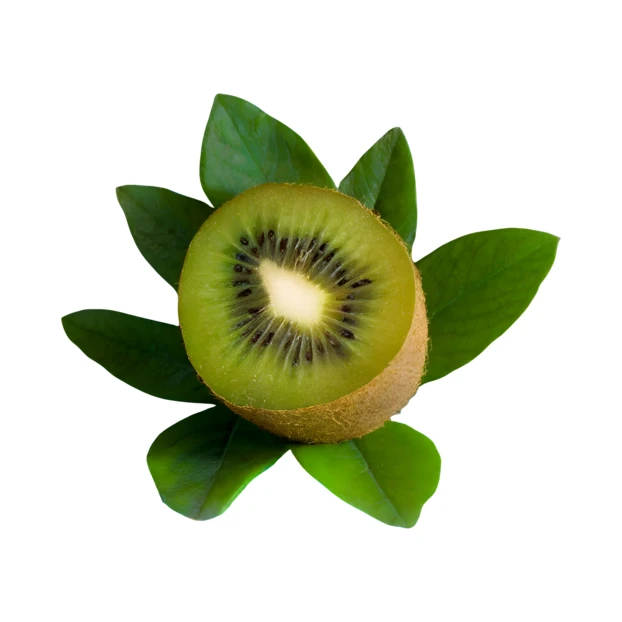 Half of a fresh kiwi fruit on green leaves
