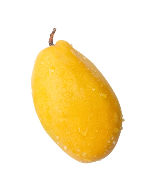 Fresh ripe yellow mango with water droplets on white background