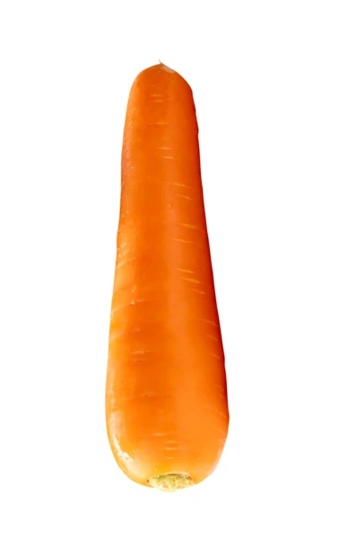 Single fresh orange carrot isolated on white background
