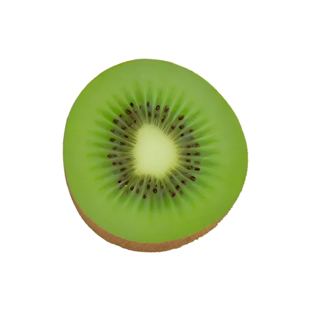 Fresh green kiwi fruit slice isolated on white background