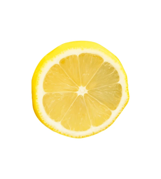 Single fresh lemon slice isolated on white background