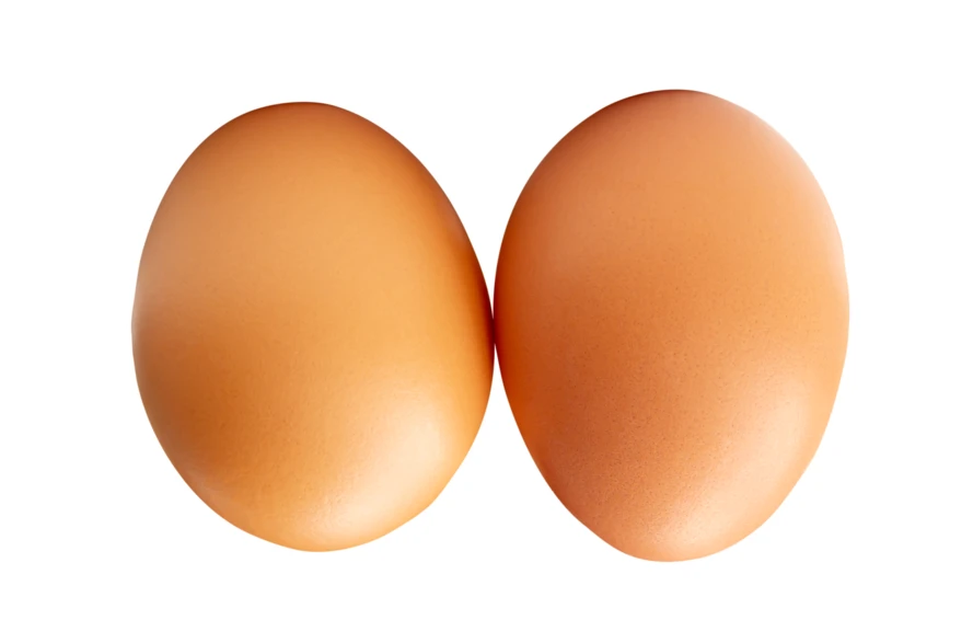 Two brown chicken eggs isolated on white background