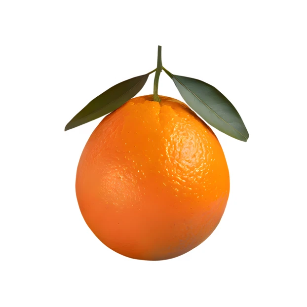 Single fresh orange with green leaves isolated on white