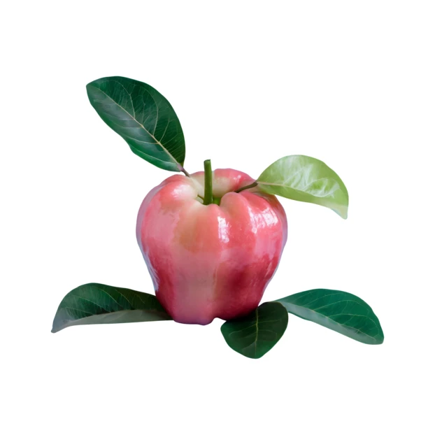 Fresh rose apple with green leaves isolated on white background