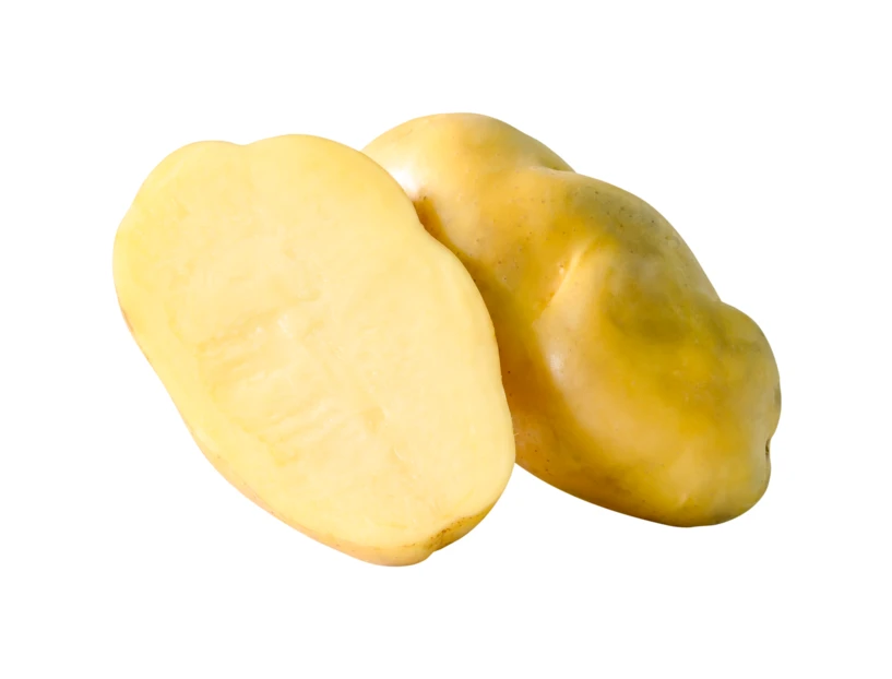 Whole and half sliced yellow potato isolated on white
