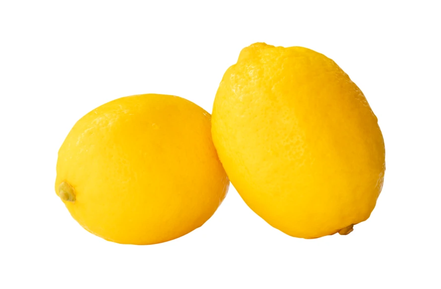 Two whole yellow lemons isolated on white background
