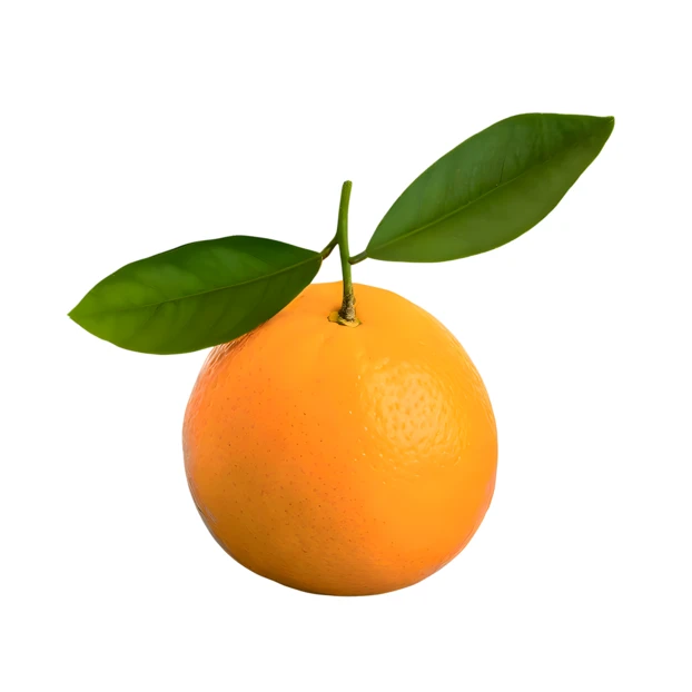 Fresh orange with green leaves isolated on white background