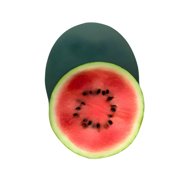 Fresh watermelon slice and whole watermelon on white background