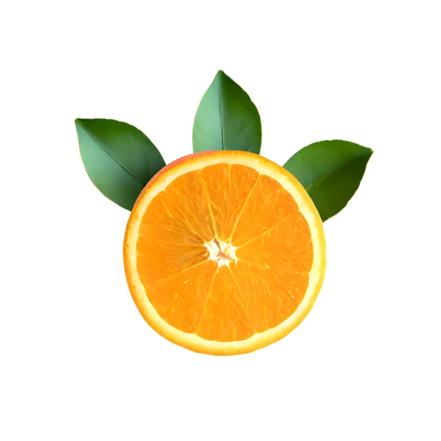 Fresh orange slice with green leaves isolated on white