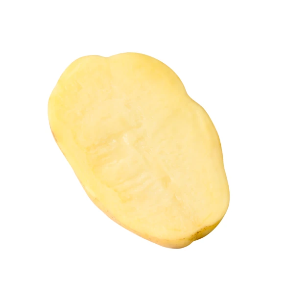 Raw potato slice isolated on white background