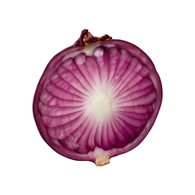 Sliced red onion isolated on white background