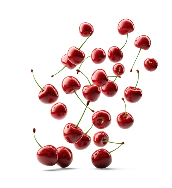 Fresh red cherries falling isolated on white background