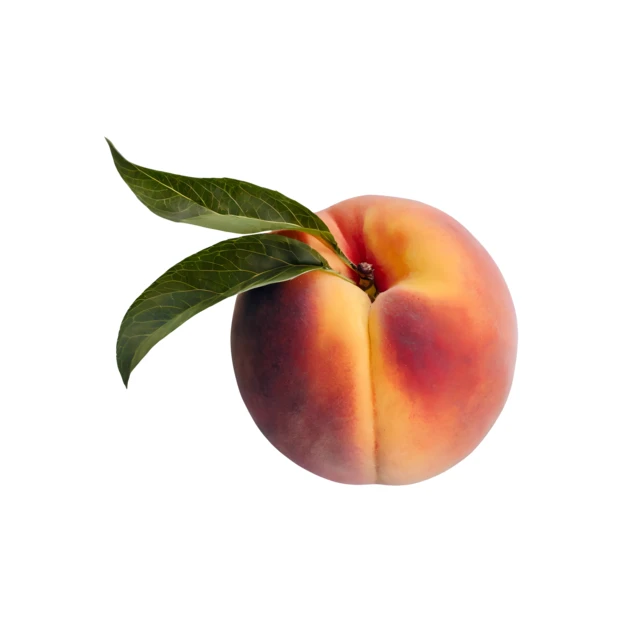 Single ripe peach with green leaves isolated on white
