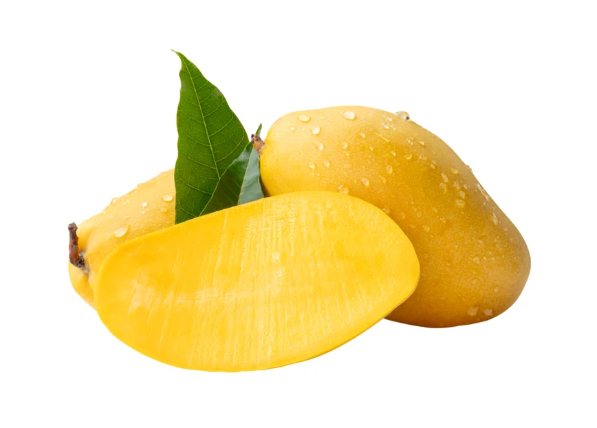 Fresh ripe yellow mangoes with leaves and water drops