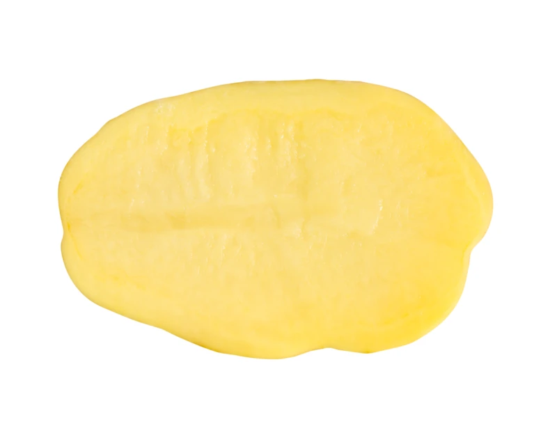 Single raw potato slice isolated on white background