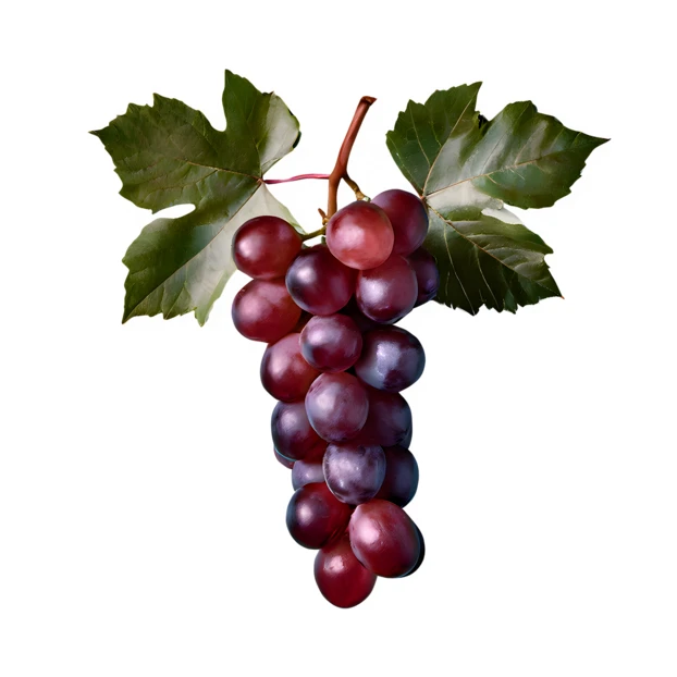 Bunch of fresh red grapes with leaves isolated on white