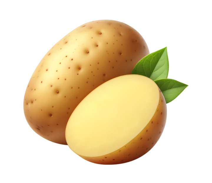 Whole and half raw potato with green leaves