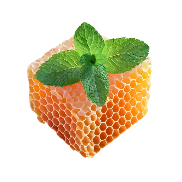 Fresh honeycomb cube topped with green mint leaves isolated