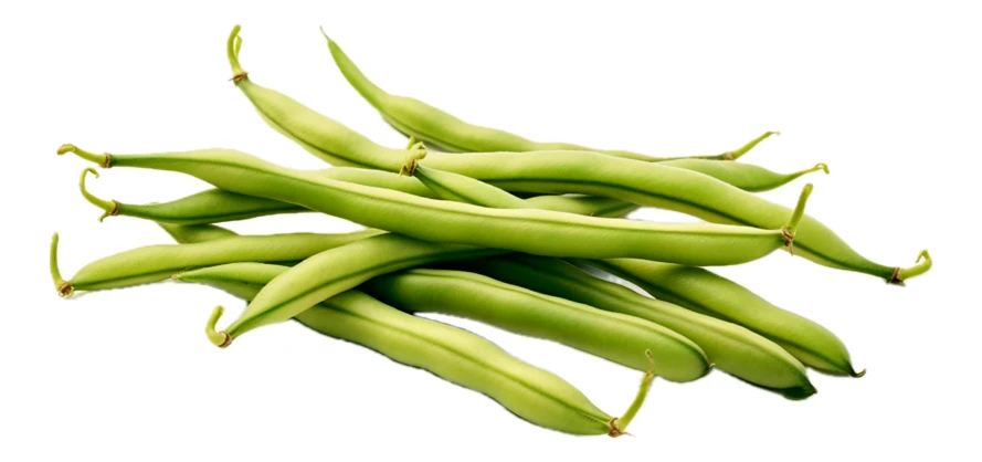 Fresh green beans isolated on white background