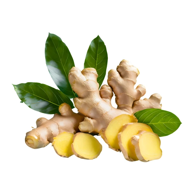 Fresh ginger root with slices and green leaves isolated