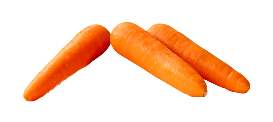 Three fresh orange carrots isolated on white background