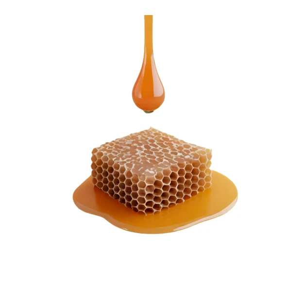 Honey dripping onto fresh honeycomb isolated on white background