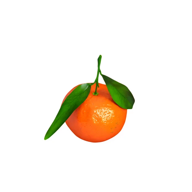 Single fresh tangerine with leaves on white background