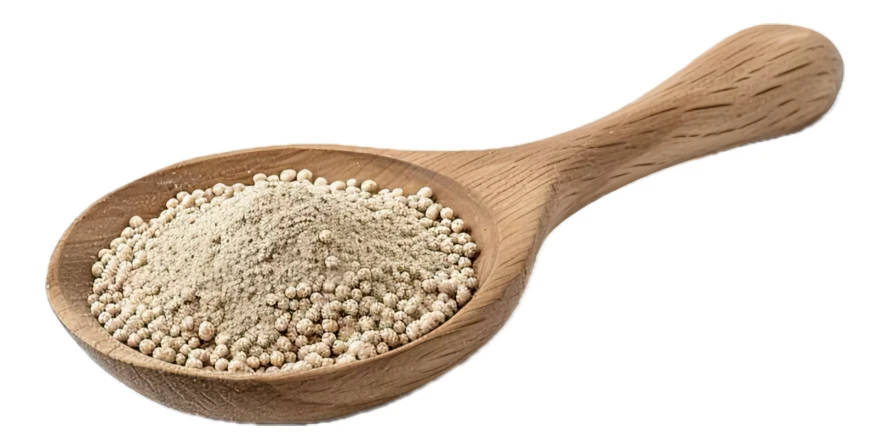 Active dry yeast in a wooden spoon isolated on white