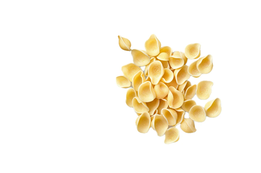 Uncooked orecchiette pasta isolated on white background