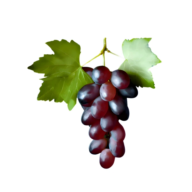 Bunch of fresh red grapes with leaves isolated on white