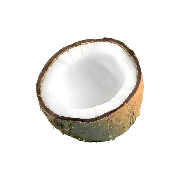 Half of a fresh coconut isolated on white background