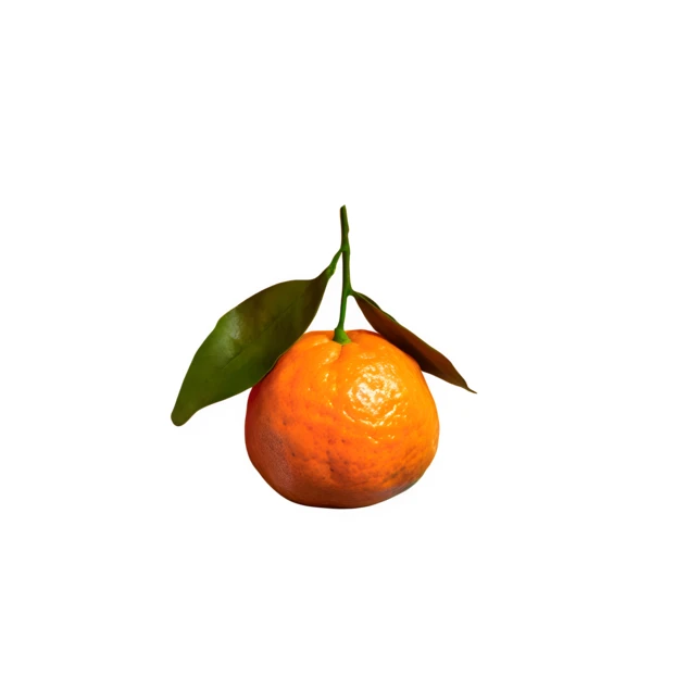 Single whole mandarin orange with leaves isolated on white