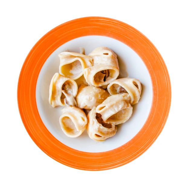 Top view of creamy tortellini pasta in orange-rimmed plate