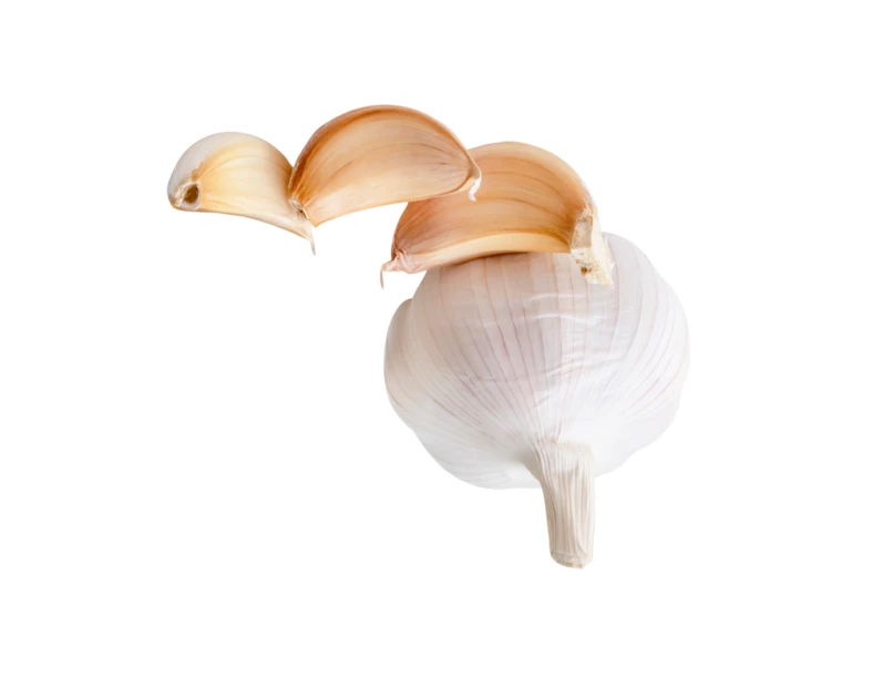 Fresh garlic bulb and individual cloves isolated on white