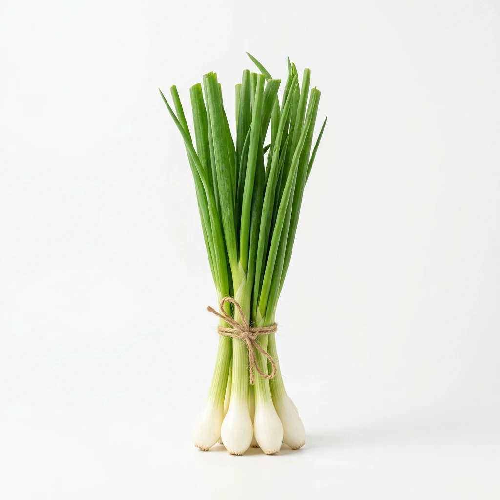 Fresh bunch of green onions tied with twine