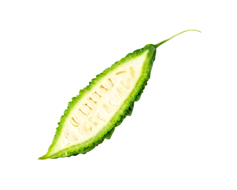 Fresh sliced bitter melon isolated on white background