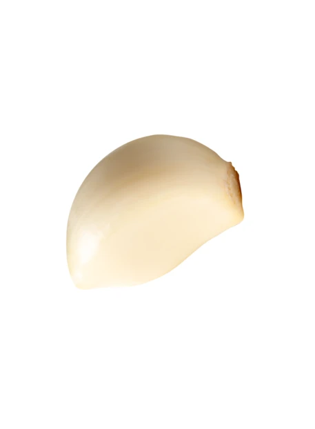 Single peeled garlic clove isolated on white background