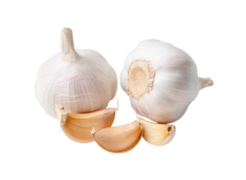 Two whole garlic bulbs and cloves on white background