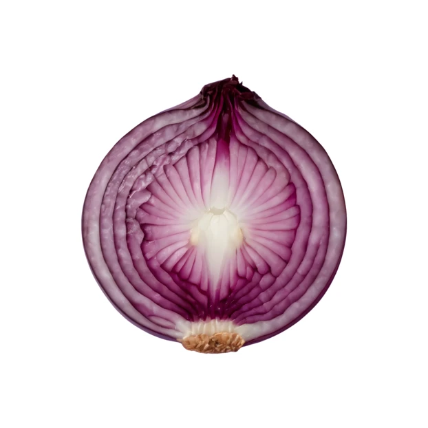 Half of a fresh red onion isolated on white background