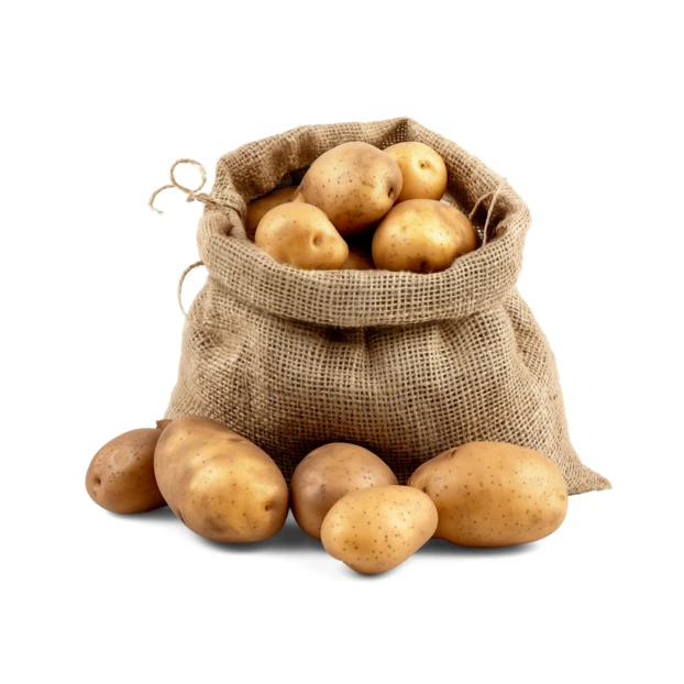 Fresh raw potatoes in a burlap sack isolated on white
