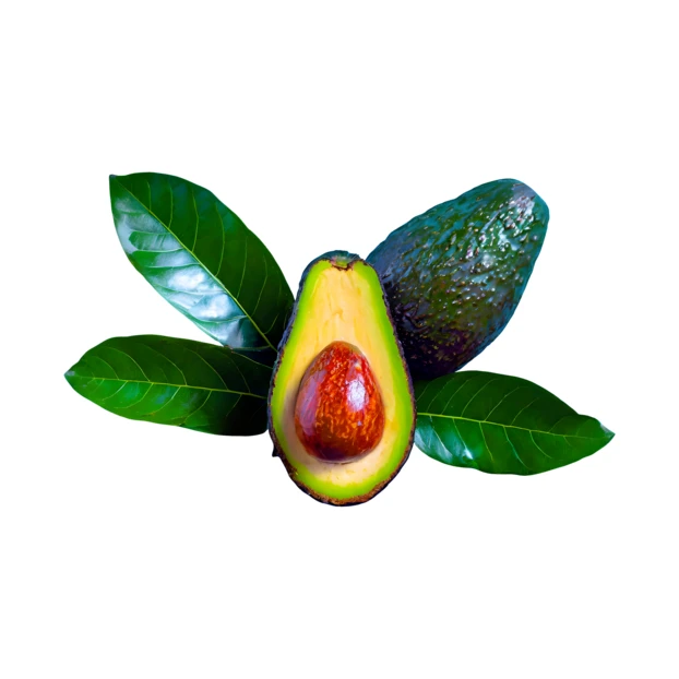 Whole and halved avocado with leaves isolated on white