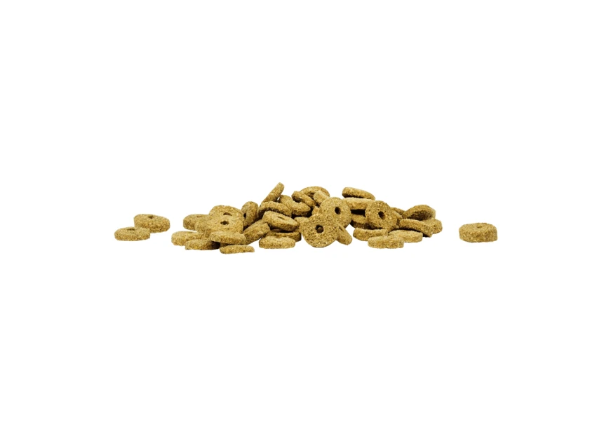 Dry ring-shaped pet food kibble isolated on white background