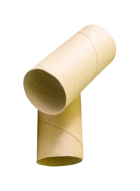 Two empty cardboard toilet paper rolls on white background
