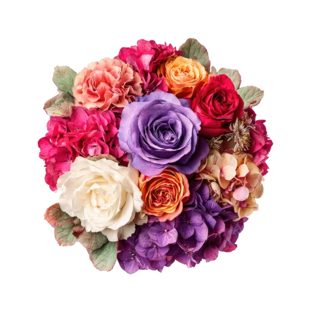 Colorful bouquet of roses and hydrangeas isolated on white
