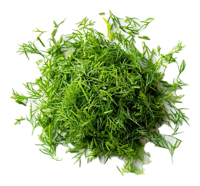 Freshly chopped green dill isolated on white background