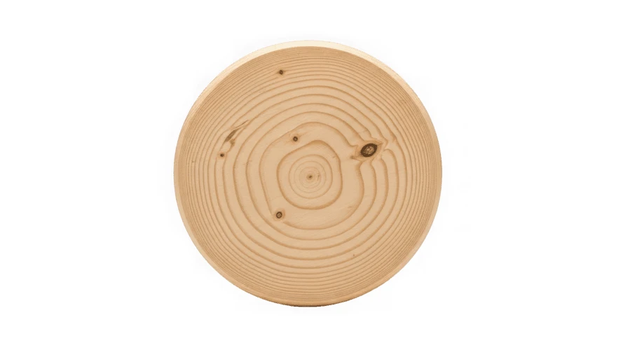 Round wood cross section with tree rings isolated on white