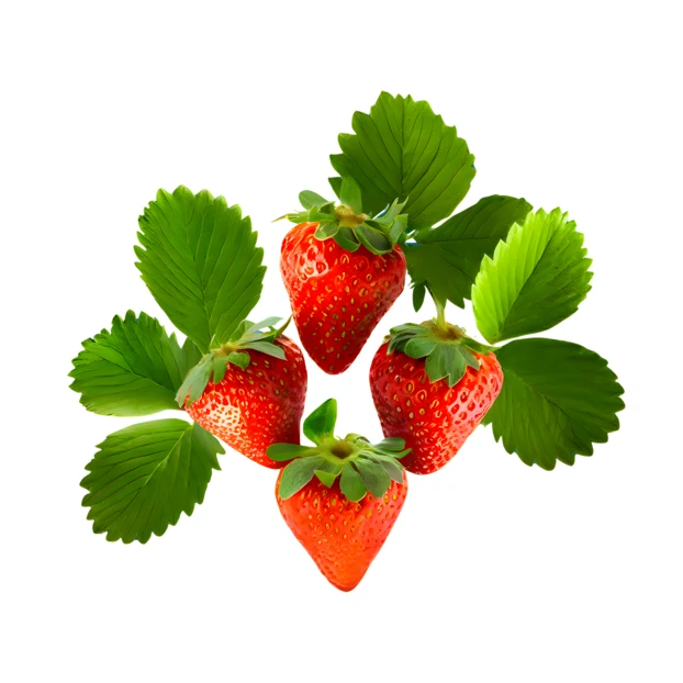 Four fresh red strawberries with green leaves isolated on white