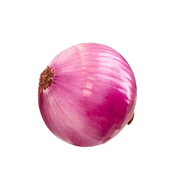 Single red onion isolated on white background