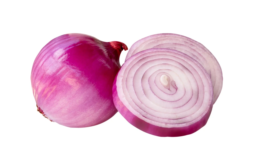 Fresh whole red onion and sliced rings isolated on white