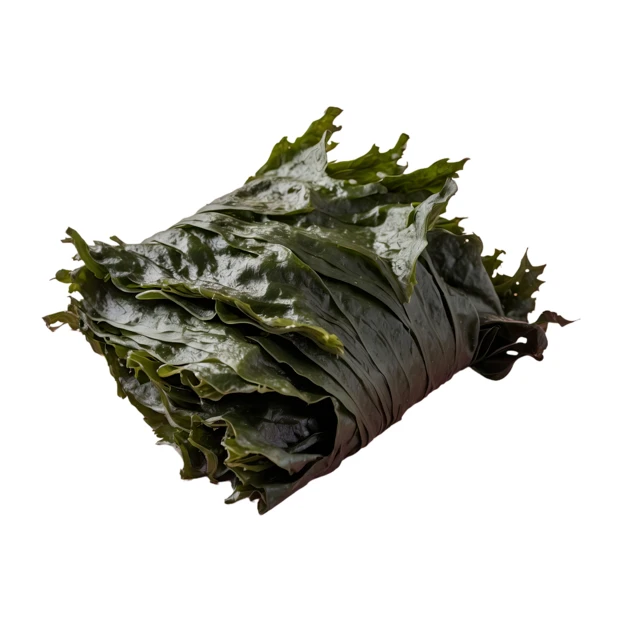 Bundle of fresh green seaweed isolated on white background